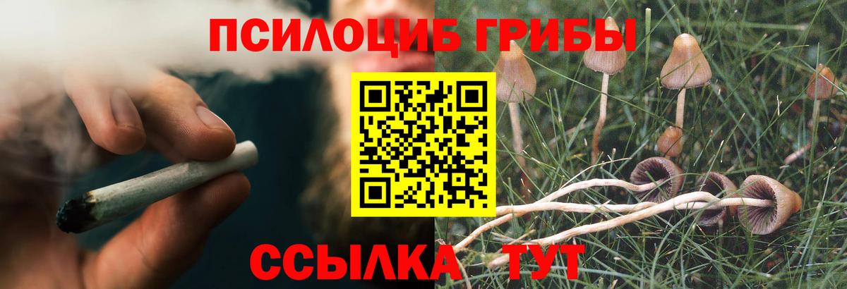 Галлюциногенные грибы мицелий  Галлюциногенные грибы ЛСД  Вход с VPN  Бердск 