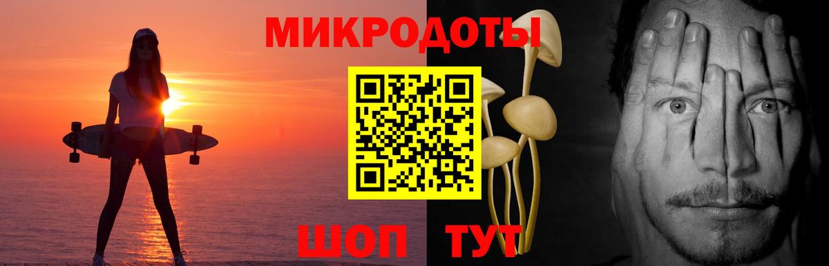 Галлюциногенные грибы Cubensis Бердск